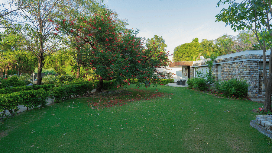  A wide green lawn in a garden setting, bordered by trees and a building in the background  at The Golden Tusk, Jim Corbett