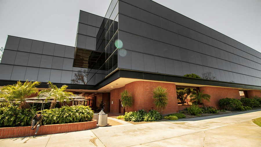 pexels-douglasphotography-2233774 (1)