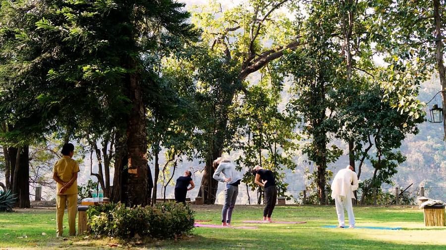 a group of people performing yoga aasan