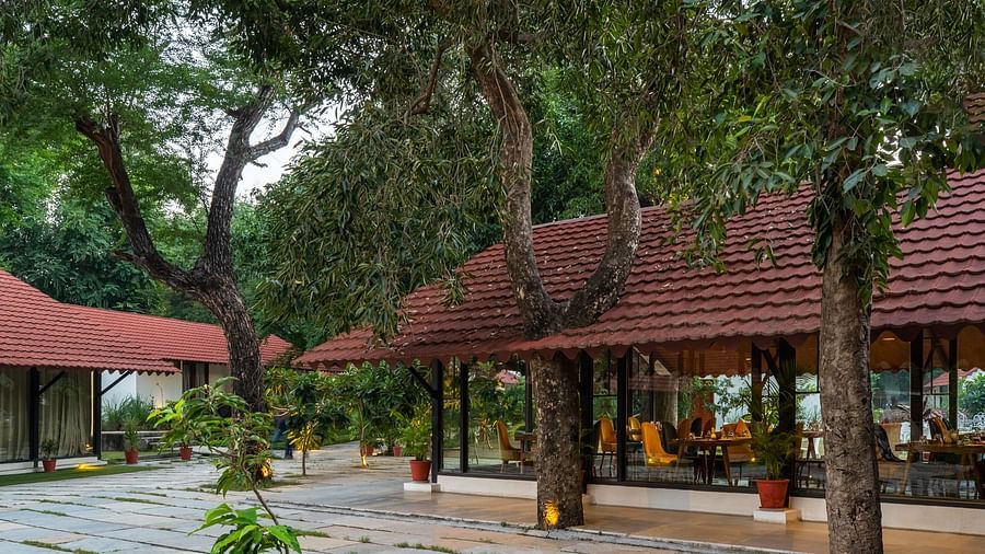 facade image of aranya vilas in udapur nestled amidst lush green trees