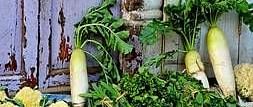 A small shop selling fresh vegetables