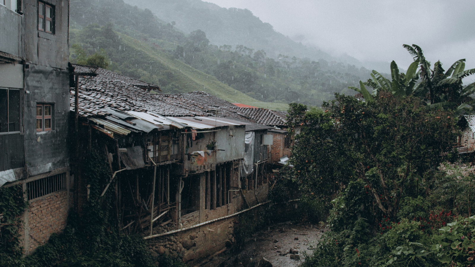 pexels-yuraforrat-12327576