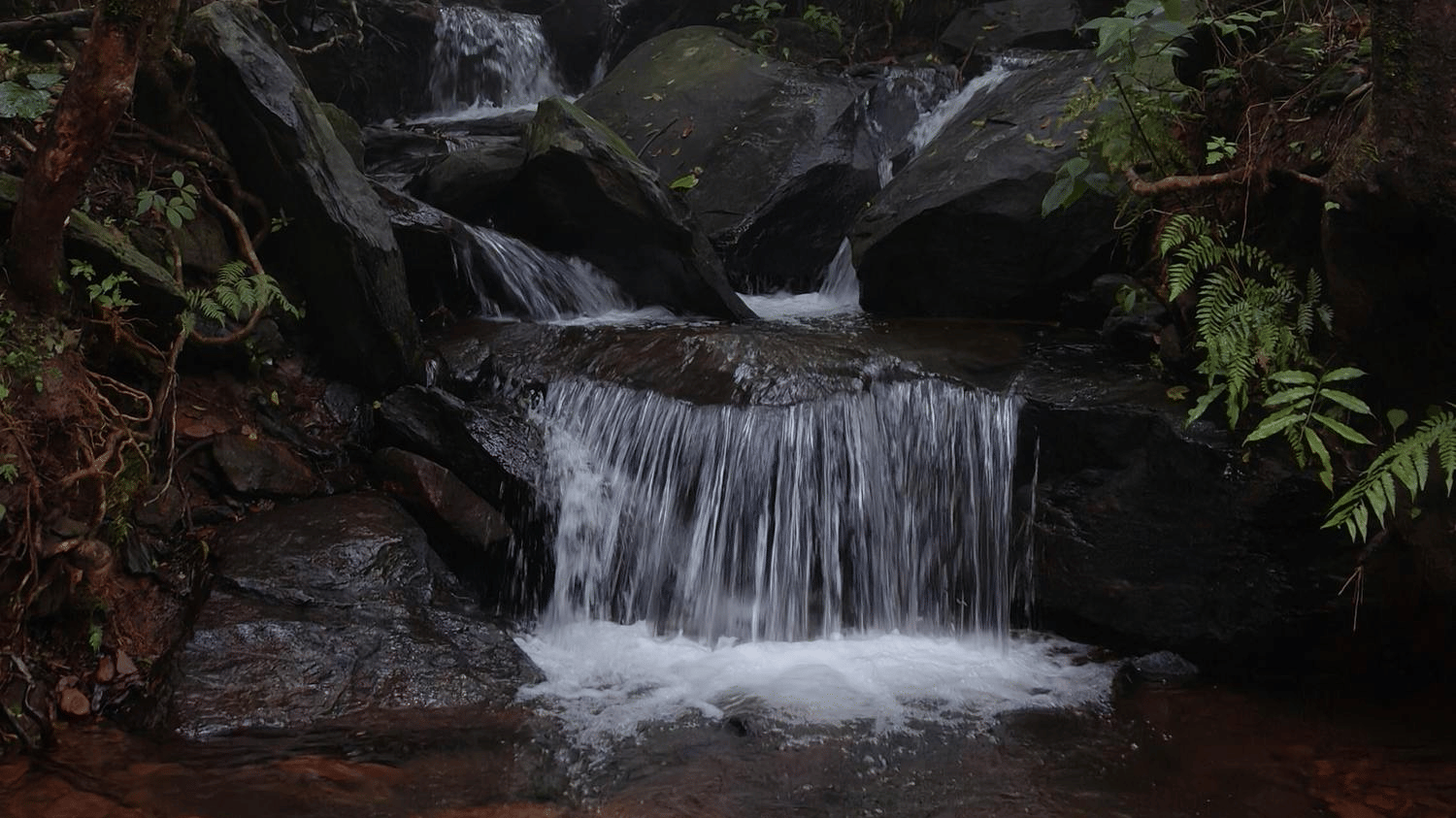 A small waterfall flowing through a misty forest surrounded by lush green trees and rocks.