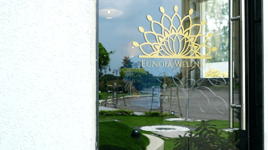 View through a window of a building exterior and garden, featuring a decorative sun symbol on the glass at Hotel Hukam's Lalit Mahal.