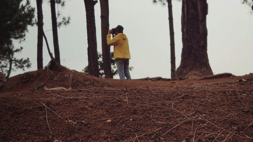 A person watching through a binoculars in the forest.
