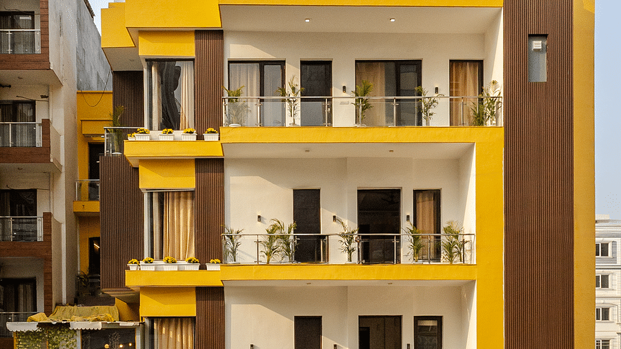 Lime Tree 2 47