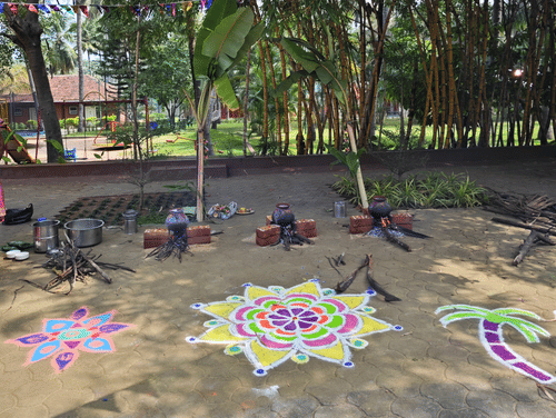 An outdoor space decorated with colorful triangular flags strung across, featuring vibrant chalk or sand art (kolam/rangoli) on the ground, with lush greenery and palm trees in the background.