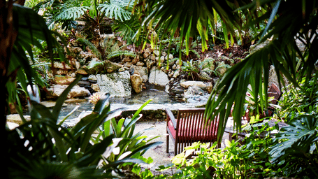 Casa Morada-Garden suite