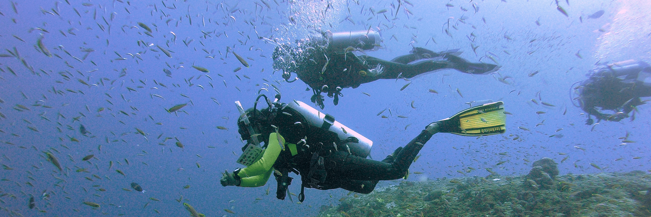 Scuba diver swimming underwater above a coral reef surrounded by schools of fish in clear blue water.