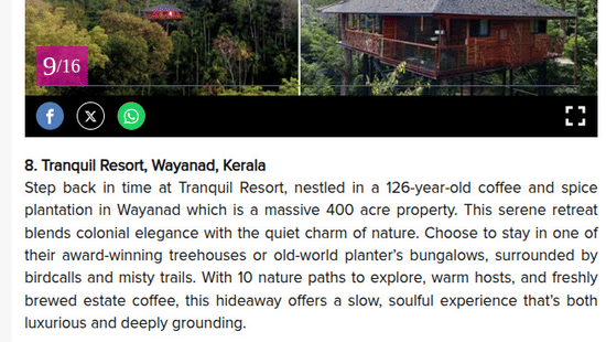 A Femina travel article featuring a split-screen image of a treehouse nestled within a 400-acre coffee and spice plantation at Tranquil Resort, Wayanad.
