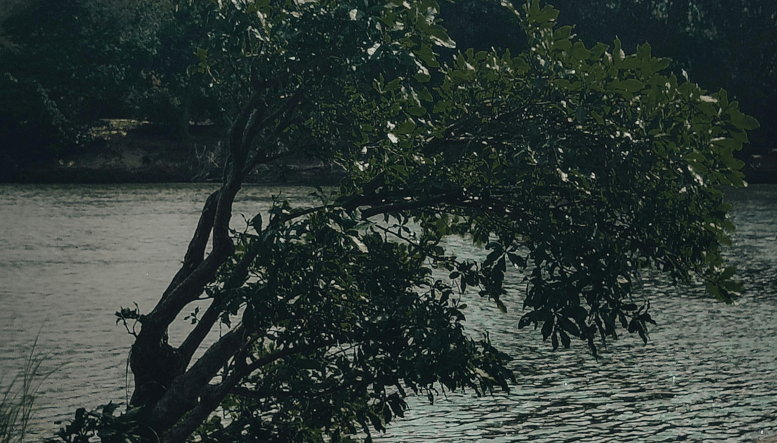 Boat on a serene river surrounded by lush greenery and mountains.