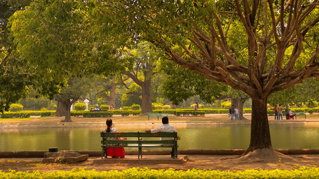 A view of a tree in a park with a bench beside it. There are two people sitting on the park bench.