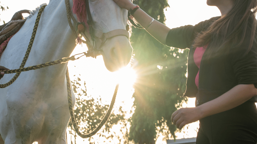 Bamboo Saa Jaipur   Processed Pictures   November 2025-220