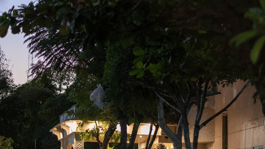 Bamboo Saa Jaipur   Processed Pictures   November 2025-264