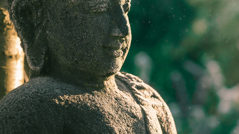 Weathered Buddha statue viewed from behind, standing among greenery with sunlight filtering through trees in a tranquil setting