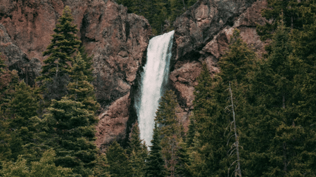A narrow waterfall flowing down a forested mountainside with tall pine trees.