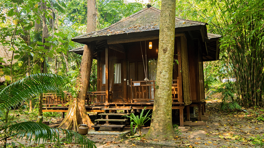 A wooden villa surrounded by lush green trees and plants, with a small porch and steps, nestled in a tropical forest setting - Barefoot at Havelock