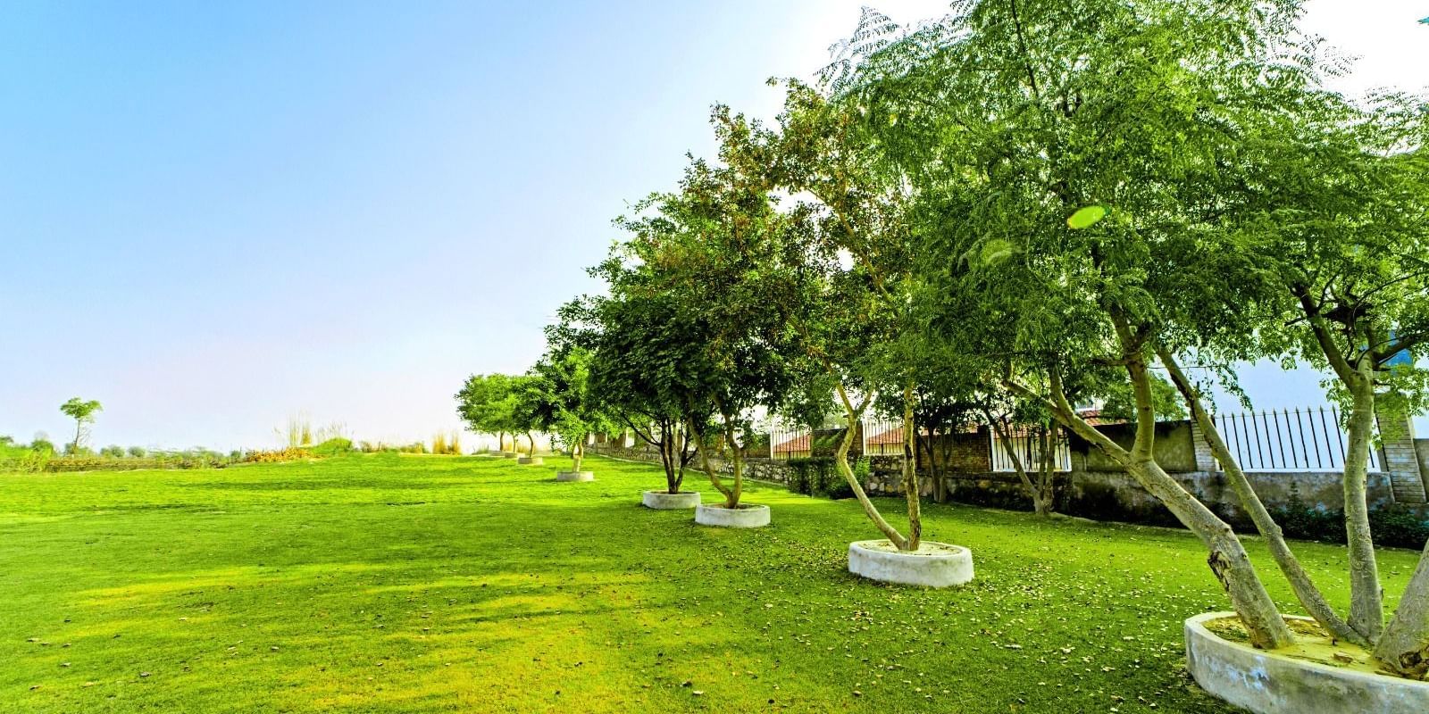 Lush garden area at Grassfield Riveria Resort, Jaipur, with well-maintained lawns and trees under a clear sky.