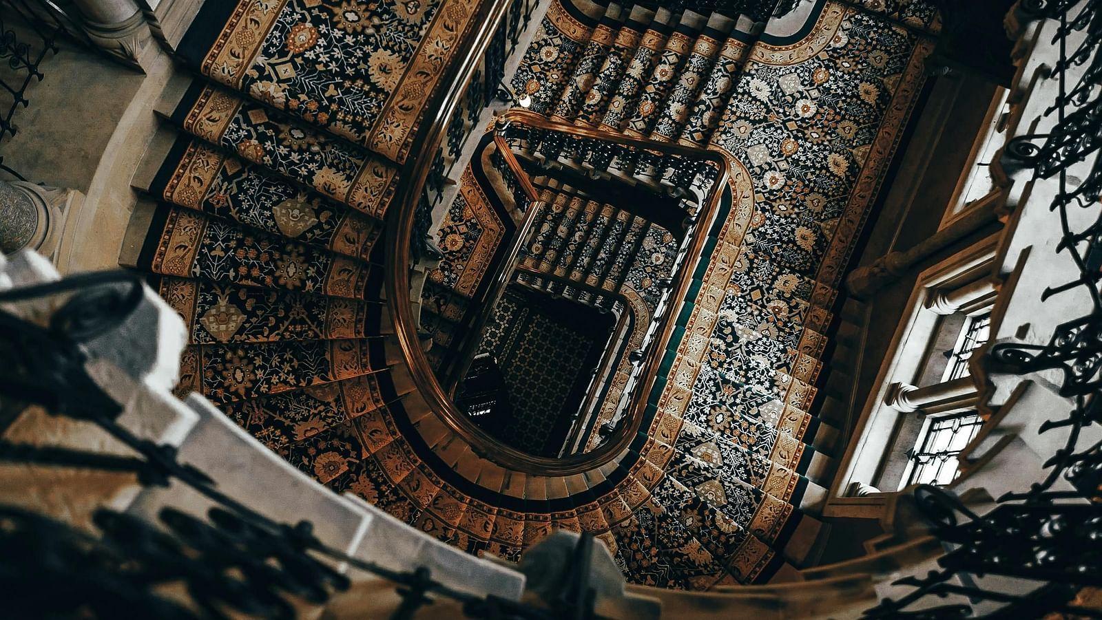 pexels-yosstraore-2555533