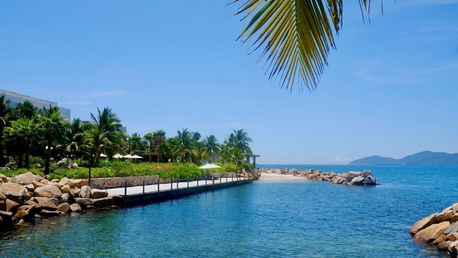 A view of a serene beach covered by lush greenery during a sunny day - Alibu Resort Nha Trang