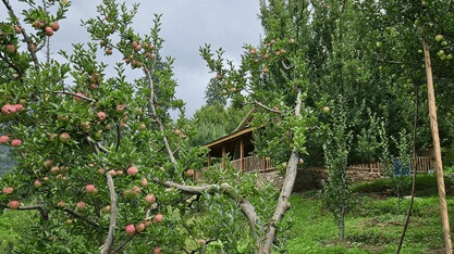 the exterior of the Hamta Peak Cottage surrounded by lush greenery all around with a cloudy sky in the background at Amara Upepo -The Sky Village, Manali.