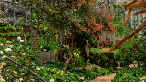 A garden inside a glasshouse featuring flowers and plants on a sunny day