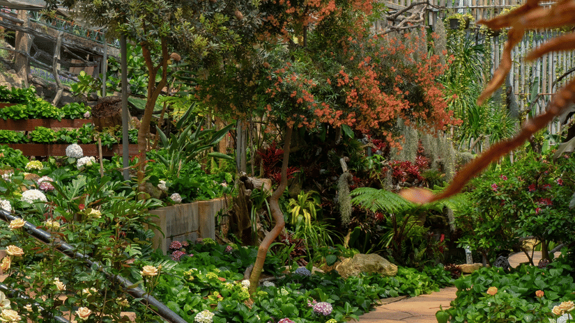 A garden inside a glasshouse featuring flowers and plants on a sunny day