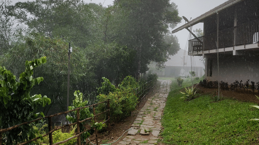 A house with a pathway is situated in a green landscape.