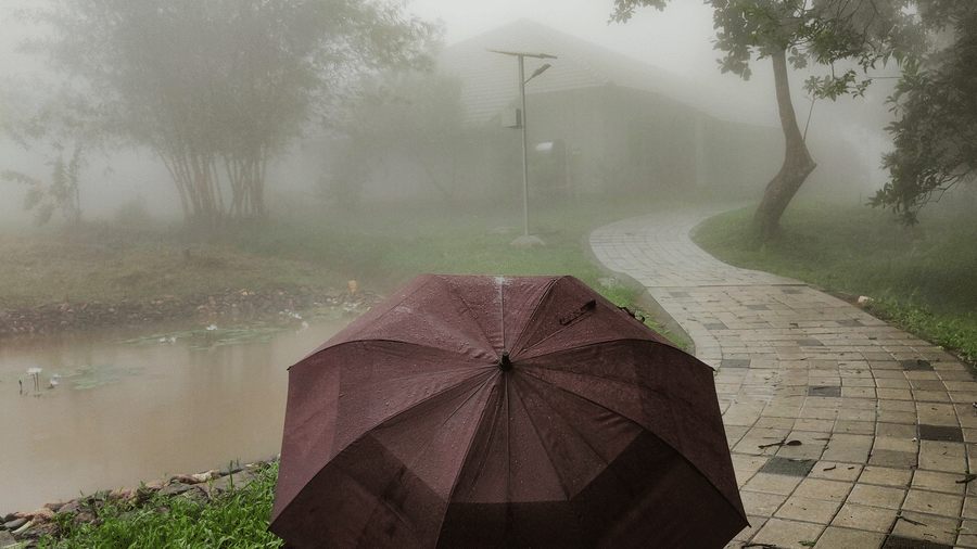 An umbrella is placed on a pathway in a misty landscape.