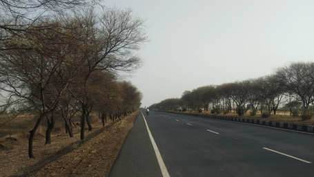 Empty 2-lane road bordered by leafless trees, leading towards the horizon beneath a muted evening sky