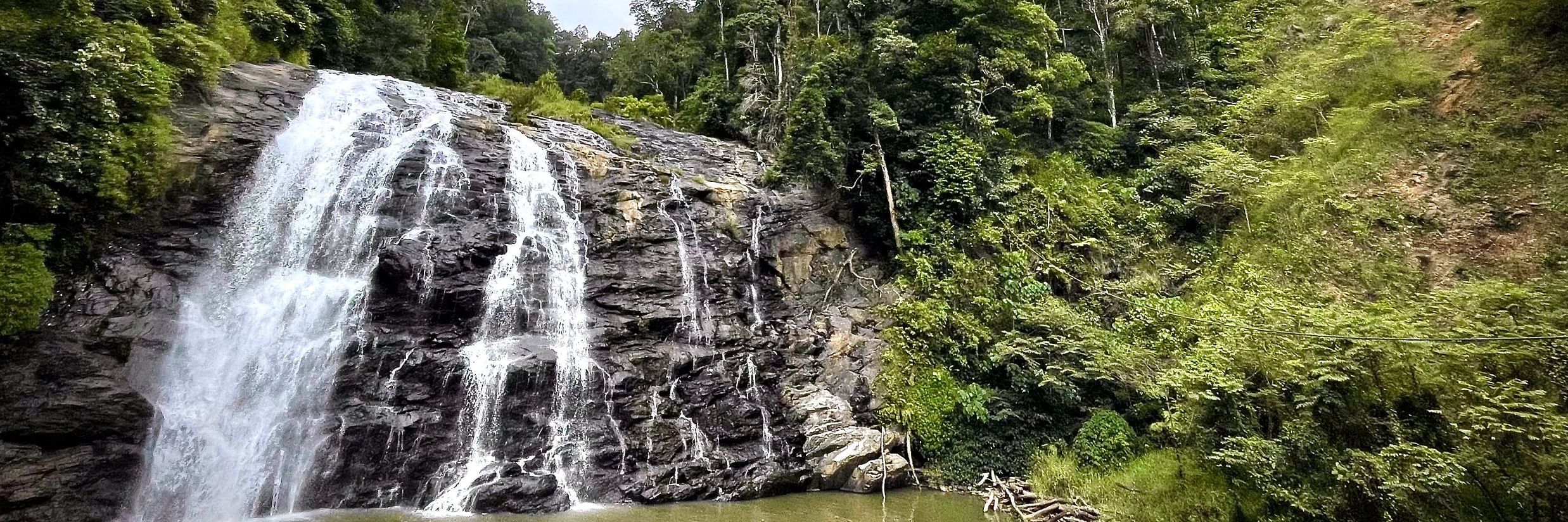 The Birchwood Retreat - view of a waterfall surrounded by lush greenery