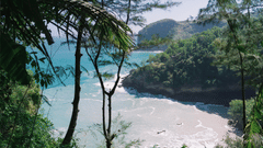 Scenic tropical beach surrounded by lush foliage