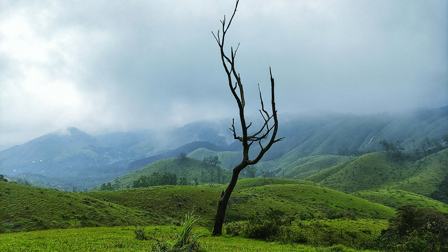 A view of the picturesque meadows - one of the best Vagamon places to visit, with it's rolling hills and the fog in the distance.