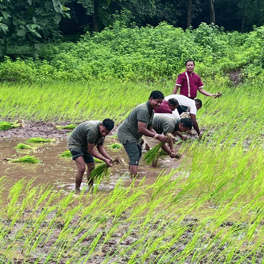 Step Into Village Life