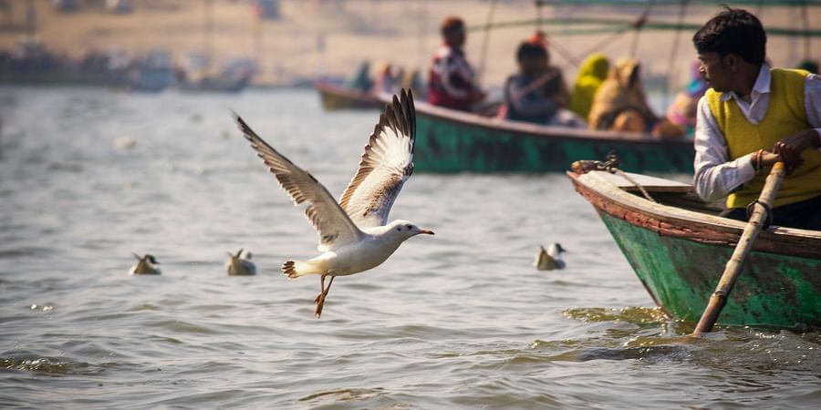 alt-text A traditional wooden boat filled with passengers floating on calm waters, with seagulls flying nearby and a crowded river.