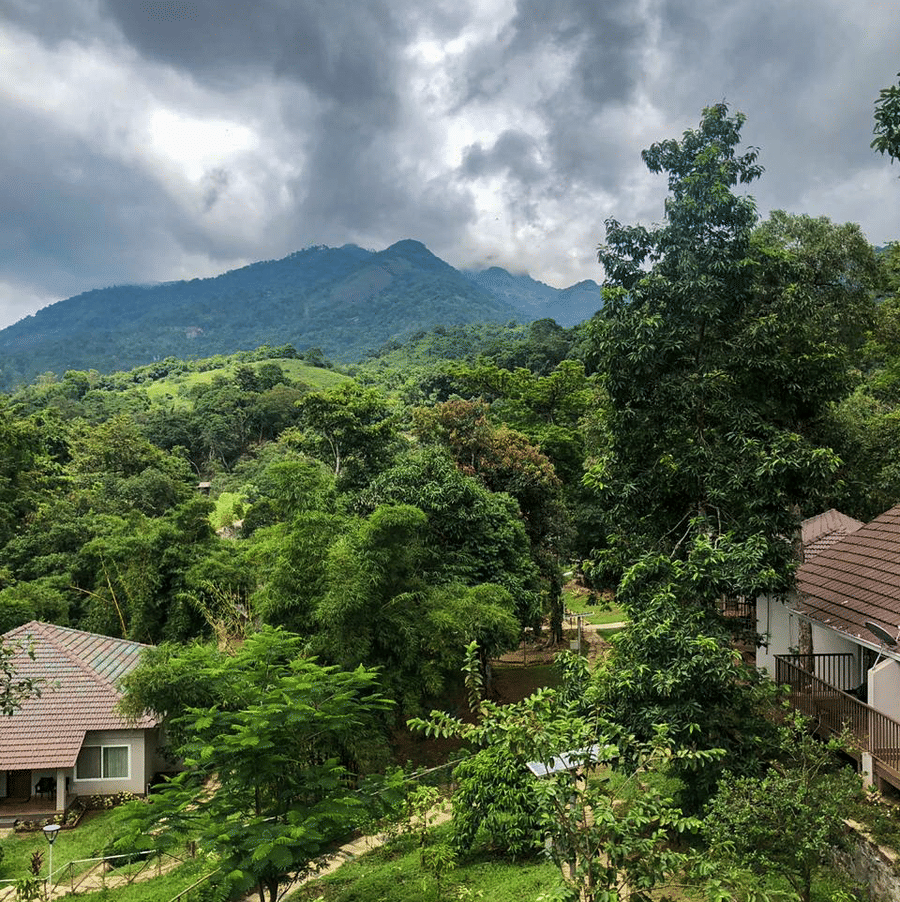 A mountain view features trees and a cloudy sky, showcasing a natural landscape.