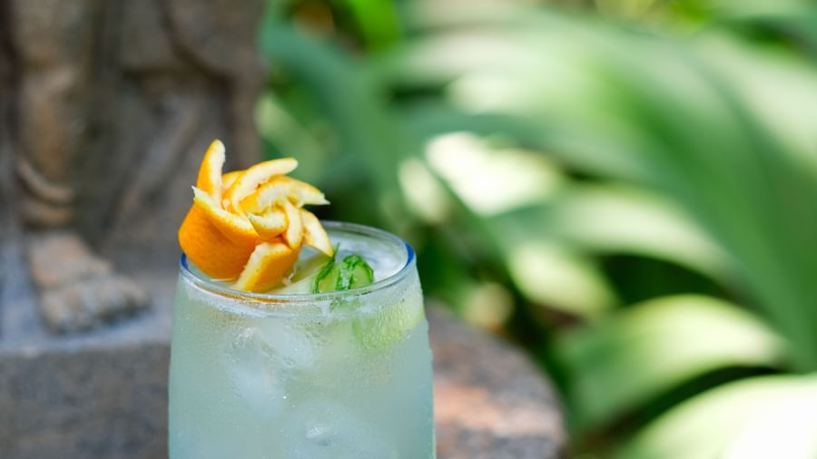 a glass of Orange Cucumber Cooler | Mango Hill, Pondicherry