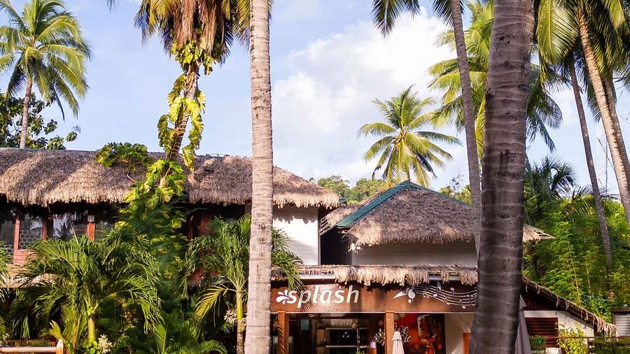 A view of a beautiful pool area with comfortable lounge chairs, palm trees, and a lush garden surrounding the pool. The atmosphere is calm and inviting, ideal for relaxation - Coral Reef Resort & Spa, Havelock