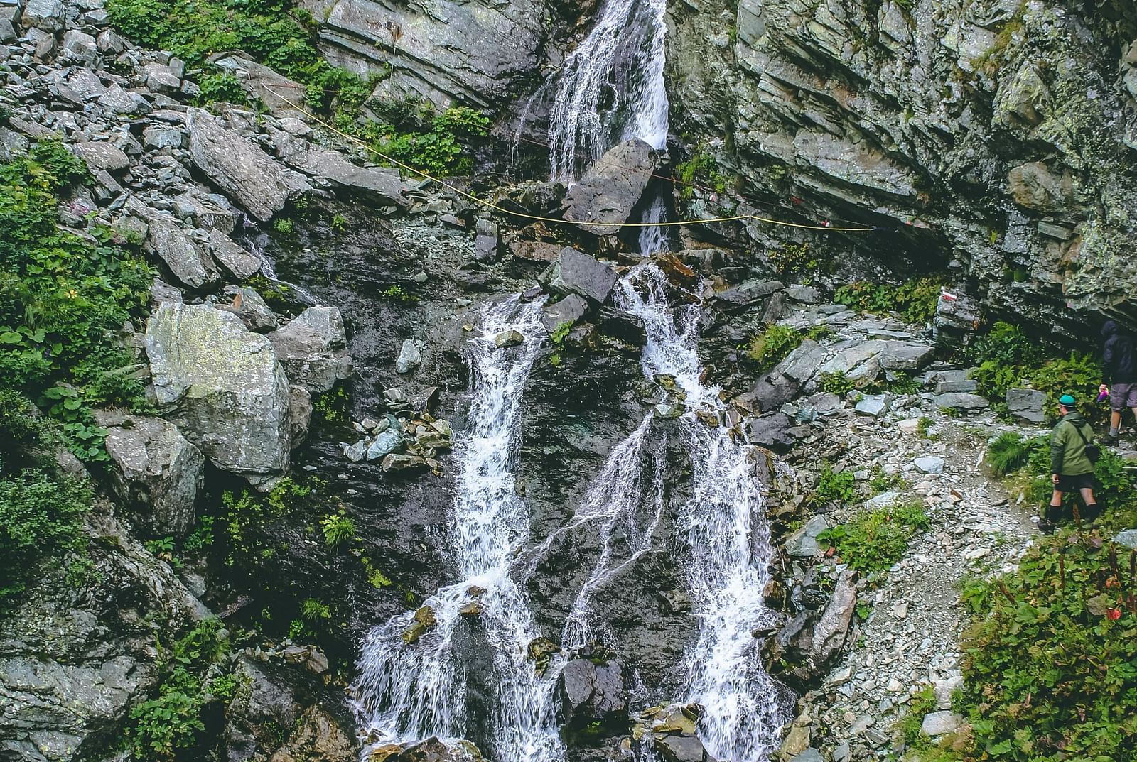 pexels-enricoperini-753496