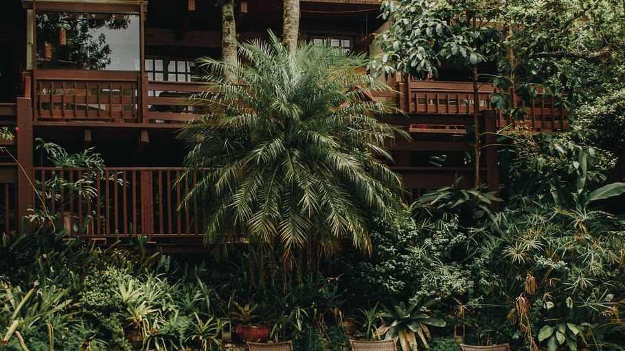 paulo-freitas-732VC oY-JY-unsplash