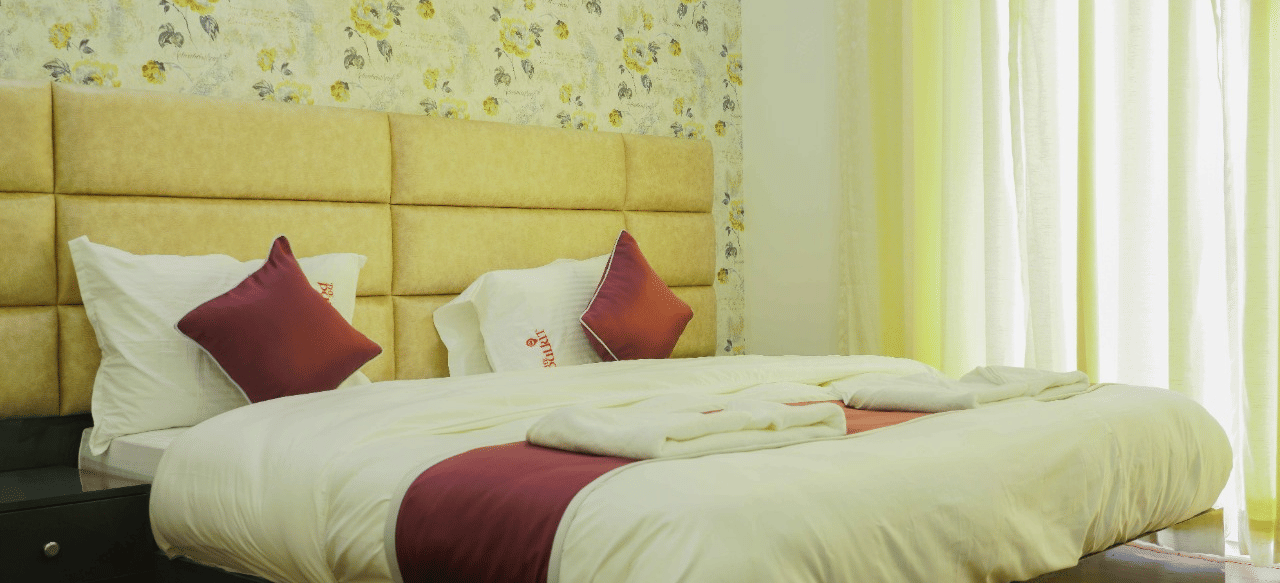 WhatsApp Image 2022-11-30 at 3.56.51 PM