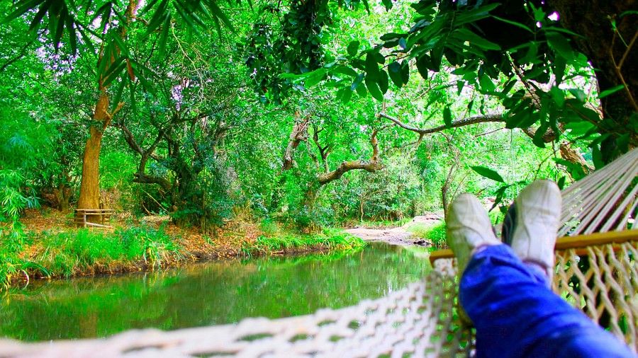 River Resort in Coorg, Amanvana Resort And Spa, Coorg Resort 112