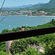 The Studios at Solana Vacation Rental Zihuatanejo Cocosviewwine