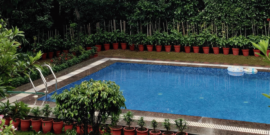 A view of the swimming pool surrounded by potted plants and trees behind it with a mountain in the background at Shaheen Bagh, one of the best Dehradun resorts with a swimming pool.
