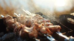 shish-kebab,Nirvana Sarovar Portico, restaurant in Gorakhpur