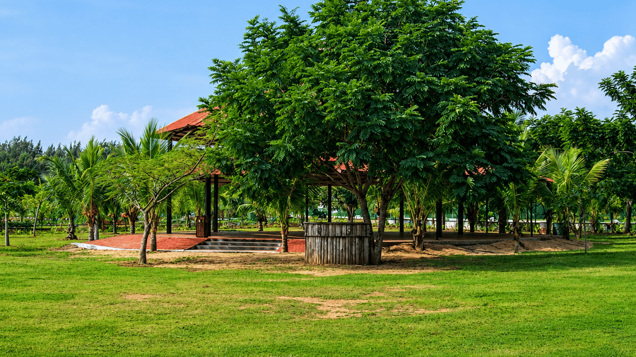 Garden area with a charming gazebo surrounded by lush trees and open lawns at Chariot Beach Resort, offering a peaceful outdoor retreat.
