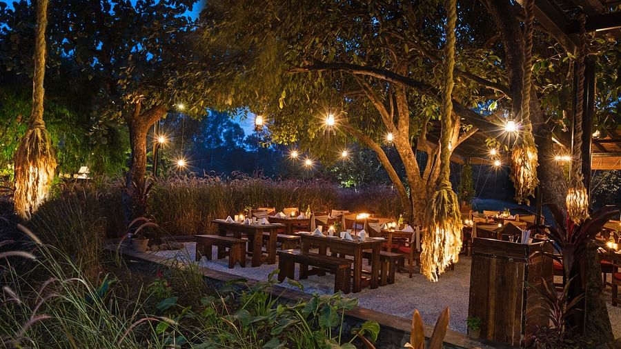 Under The Jamun Tree-Restaurant in Bhopal-Jehan NumaRetreat-Resorts in Bhopal