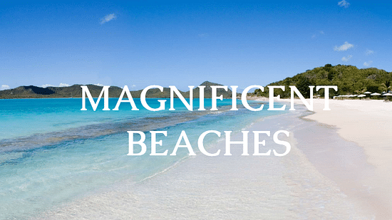 The Bungalows  MAGNIFICENT BEACHES