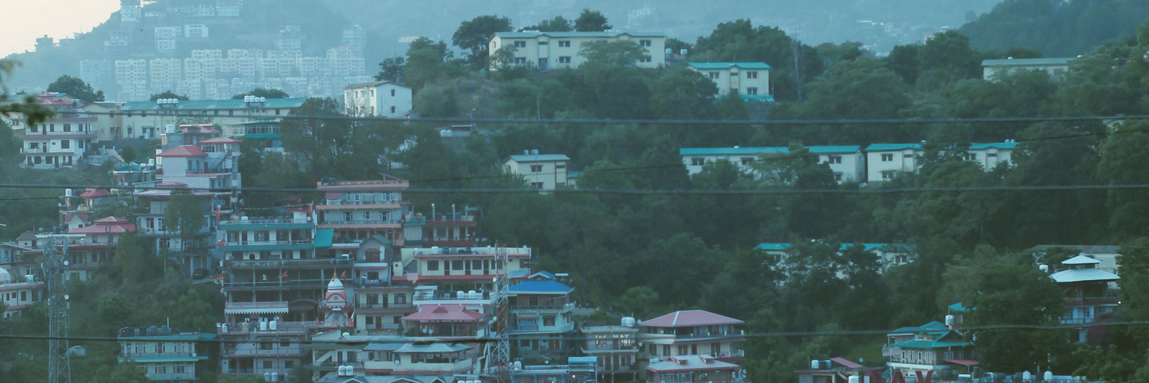 A hillside town in Kasauli with densely built homes and buildings surrounded by lush greenery and mountain slopes.