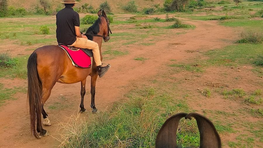 An image of a man riding a horse amidst open fields with greenery - Utsav Camp Sariska